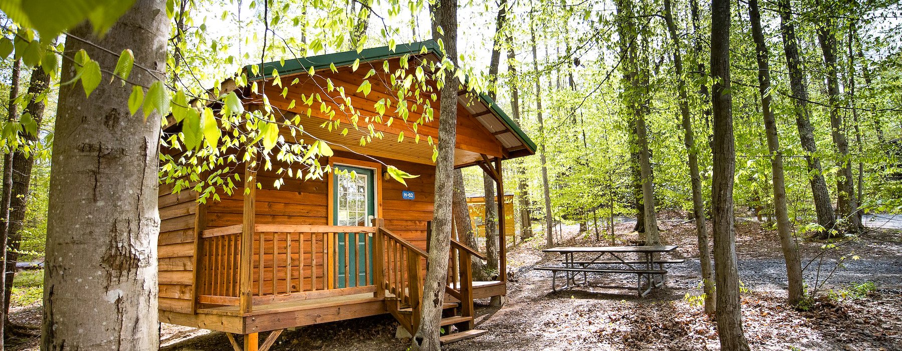 Country Cabin - Rustic 8-Cabins - Adventures on the Gorge