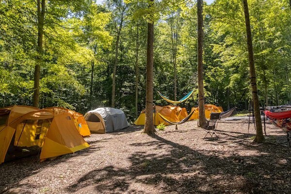 Mill Creek Campsites in WV Adventures on the Gorge - Main Image