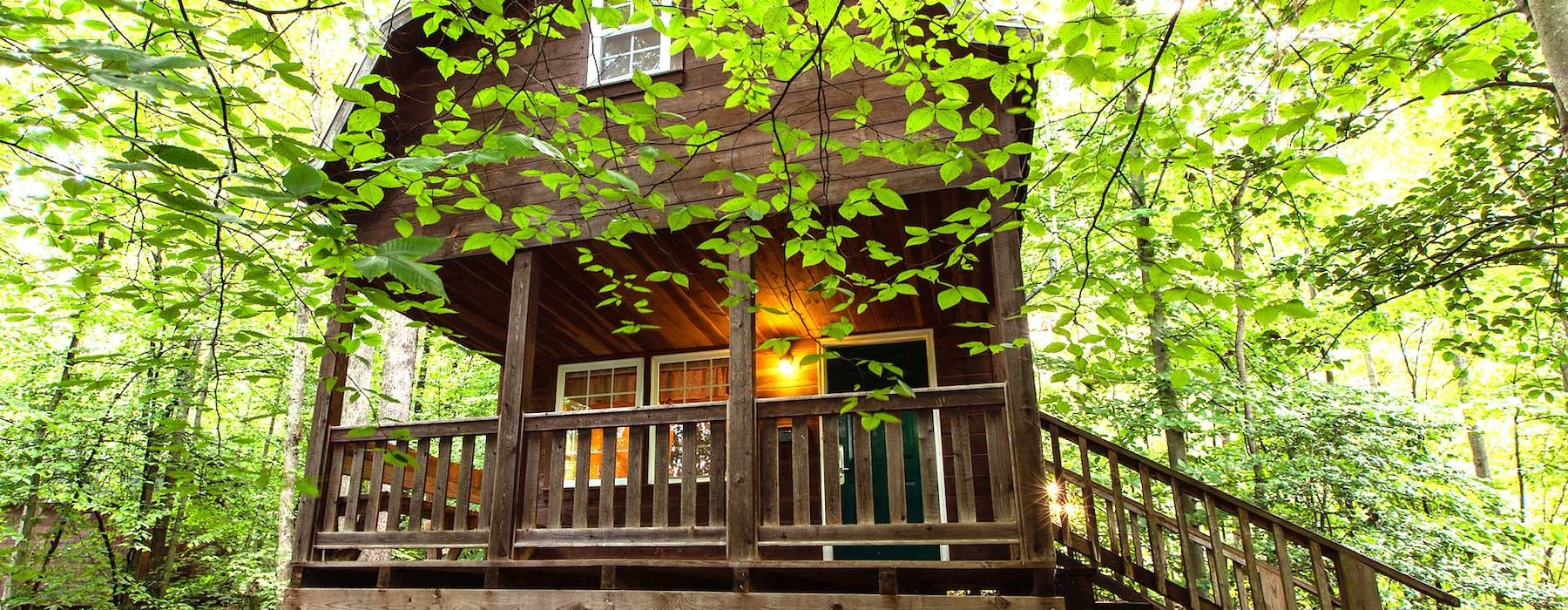 Quaint cabin nestled in peaceful woods