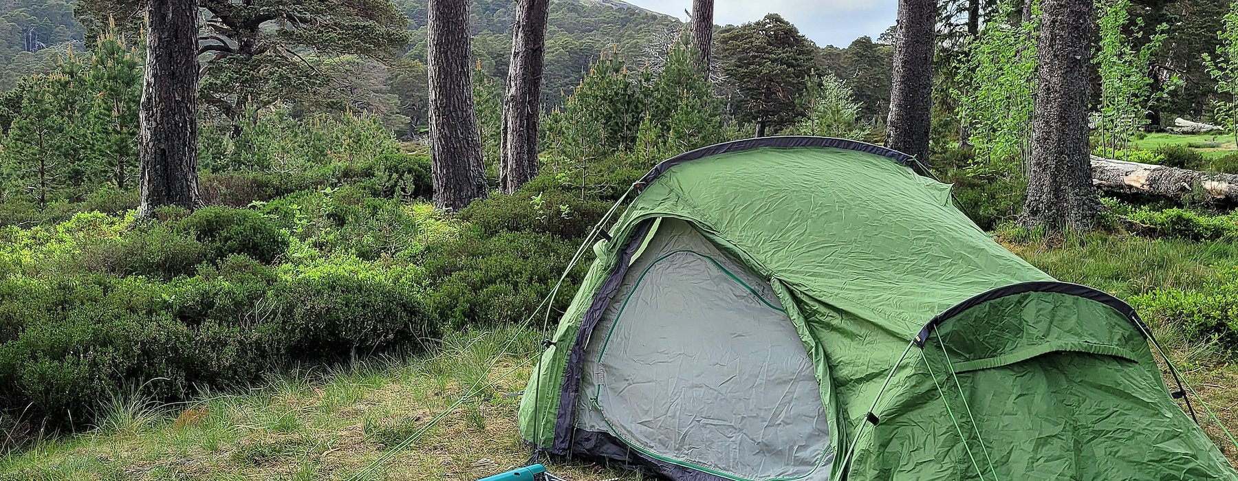 Tent Platform Adventures on the Gorge