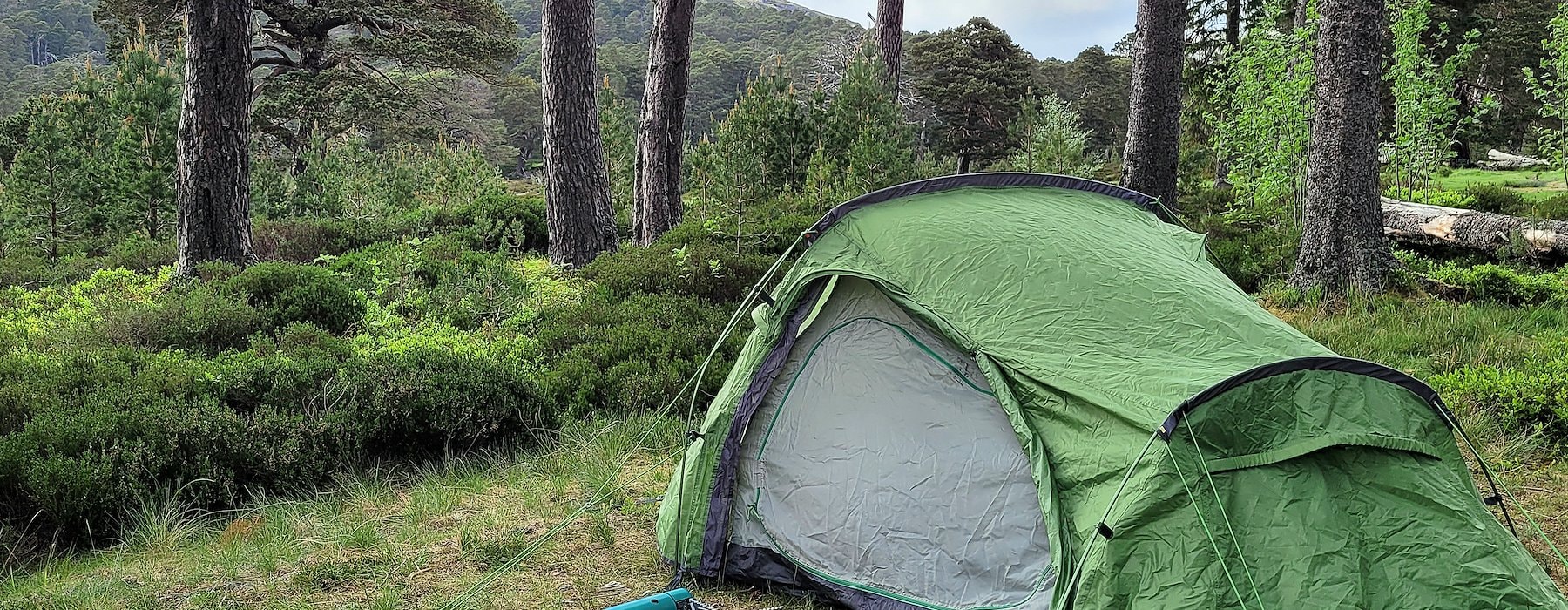 Tent Platform Adventures on the Gorge