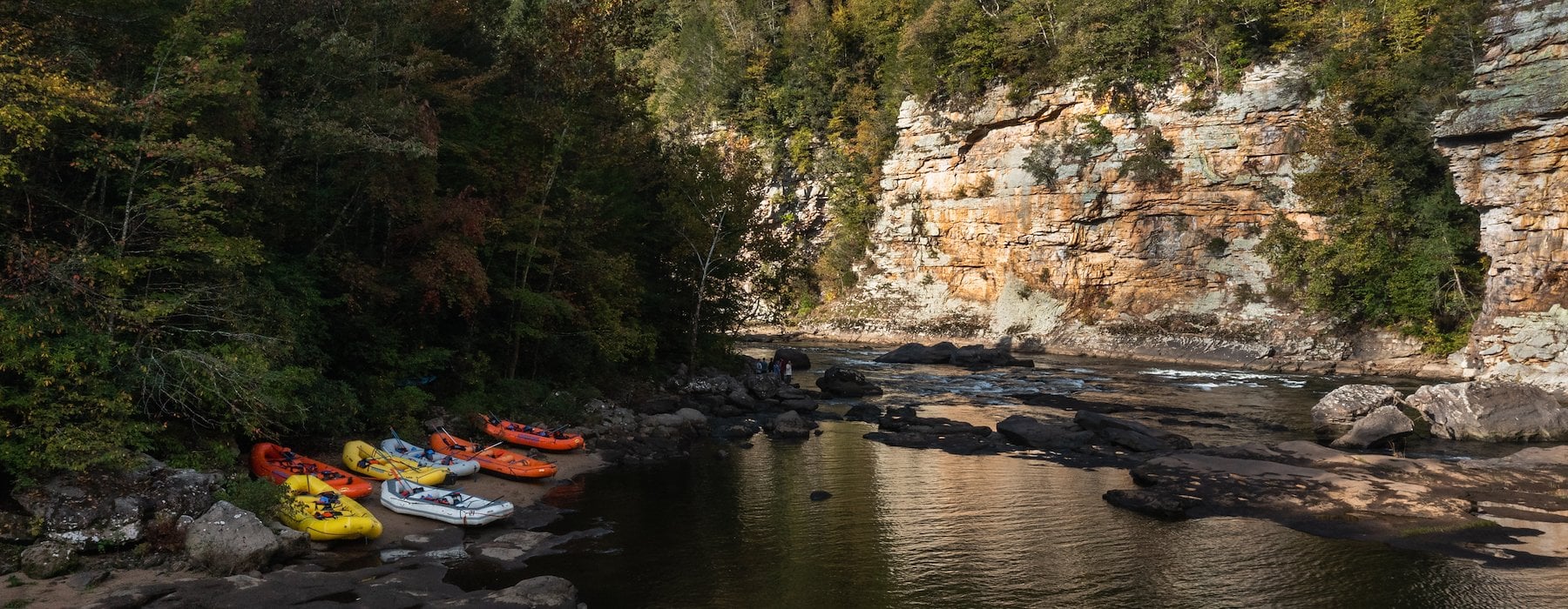A fire pit encircled by chairs and trees 2 Adventures on the Gorge - Lansing West Virginia USA