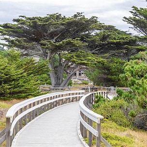 Escape to the Coast