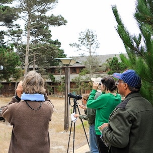 A group of five people engaged in birdwatching Asilomar Hotel and Conference Grounds - Pacific Grove California