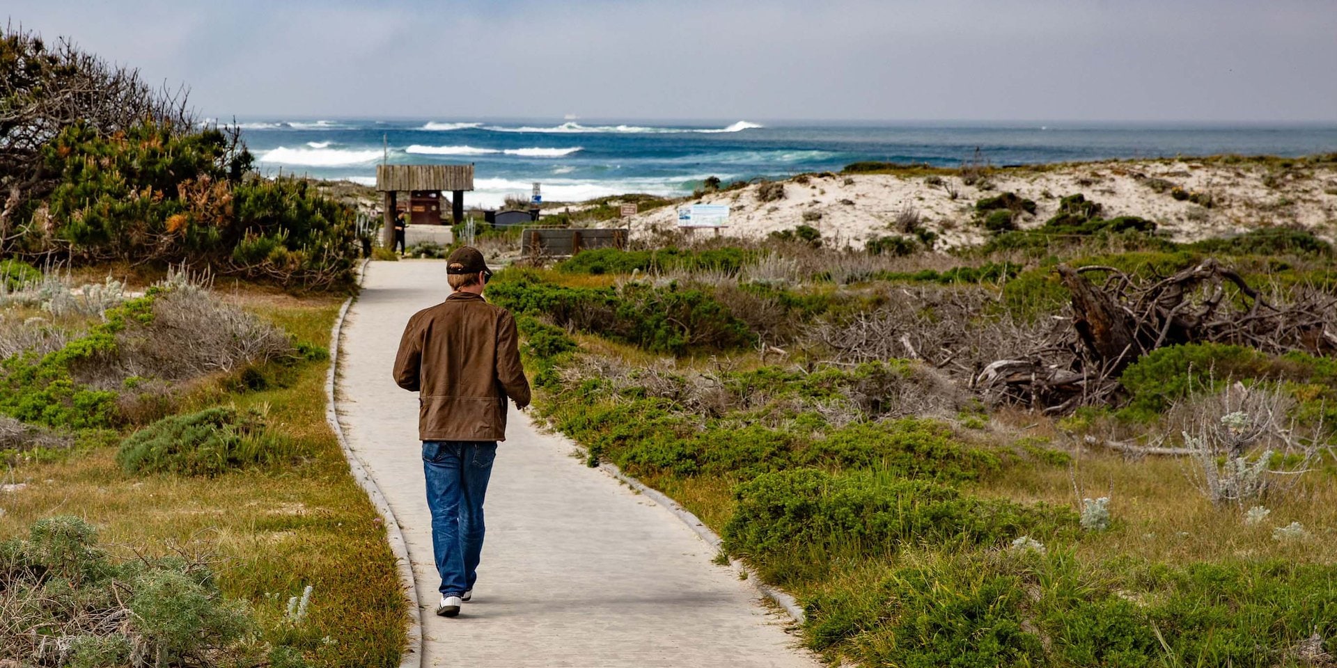 A person in a brown jacket and jeans walks along a sandy path towards a beach Asilomar Hotel and Conference Grounds - Pacific Grove California