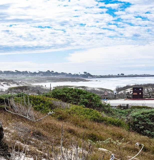 A serene beach scene with rolling sand dunes covered in sparse Asilomar Hotel and Conference Grounds - Pacific Grove California
