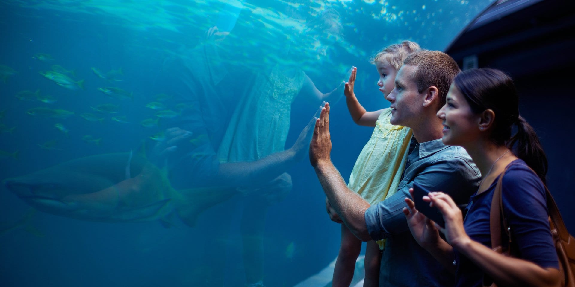 Asilomar Hotel and Conference Grounds Pacific Grove California - A family at an aquarium watches fish through a large glass tank