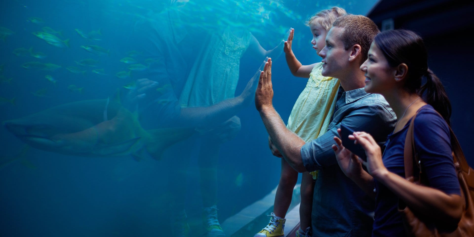 Asilomar Hotel and Conference Grounds Pacific Grove California - A family at an aquarium watches fish through a large glass tank