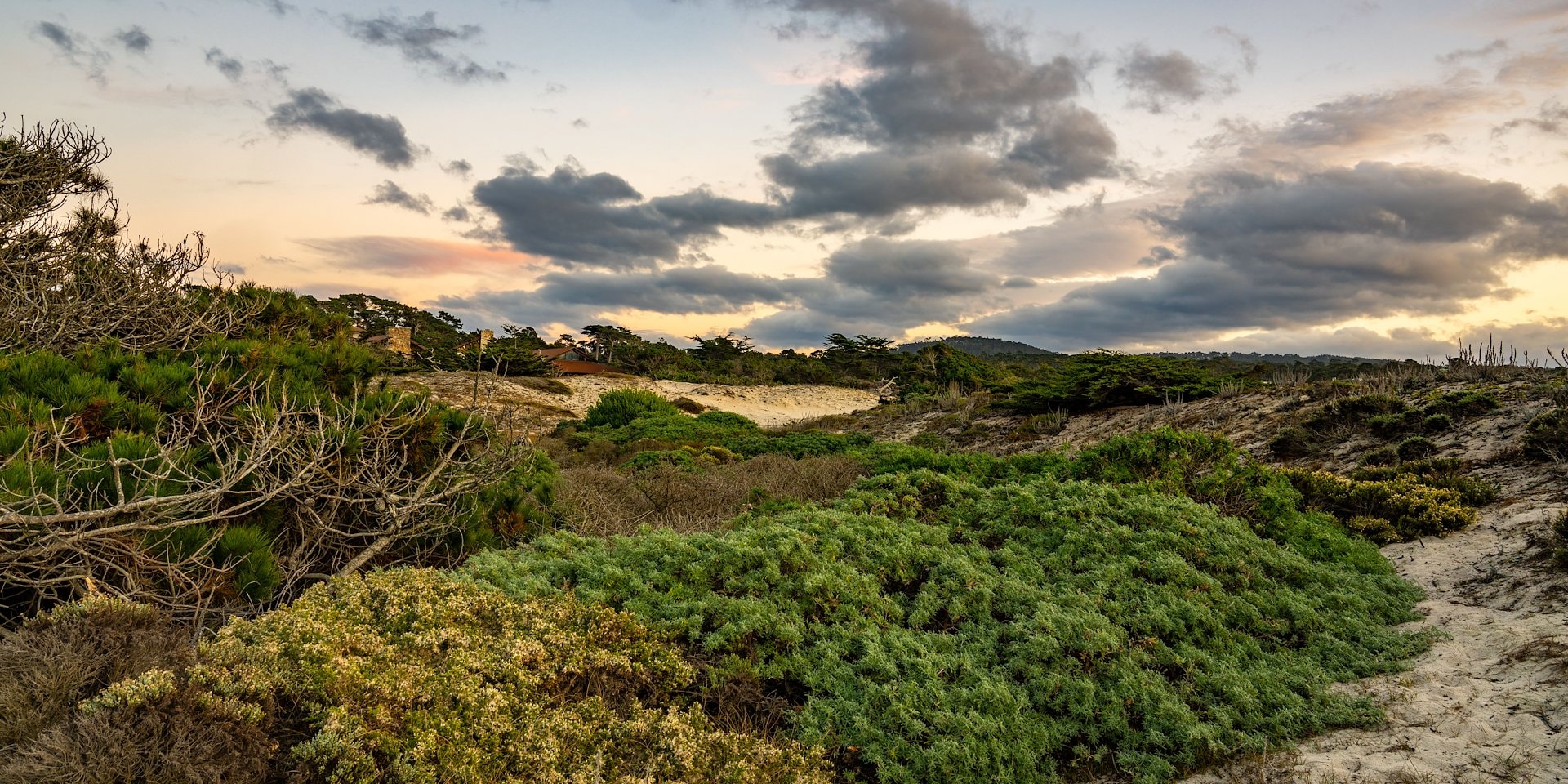 Expansive coastal landscape at sunset with lush green bushes Asilomar Hotel and Conference Grounds - Pacific Grove California
