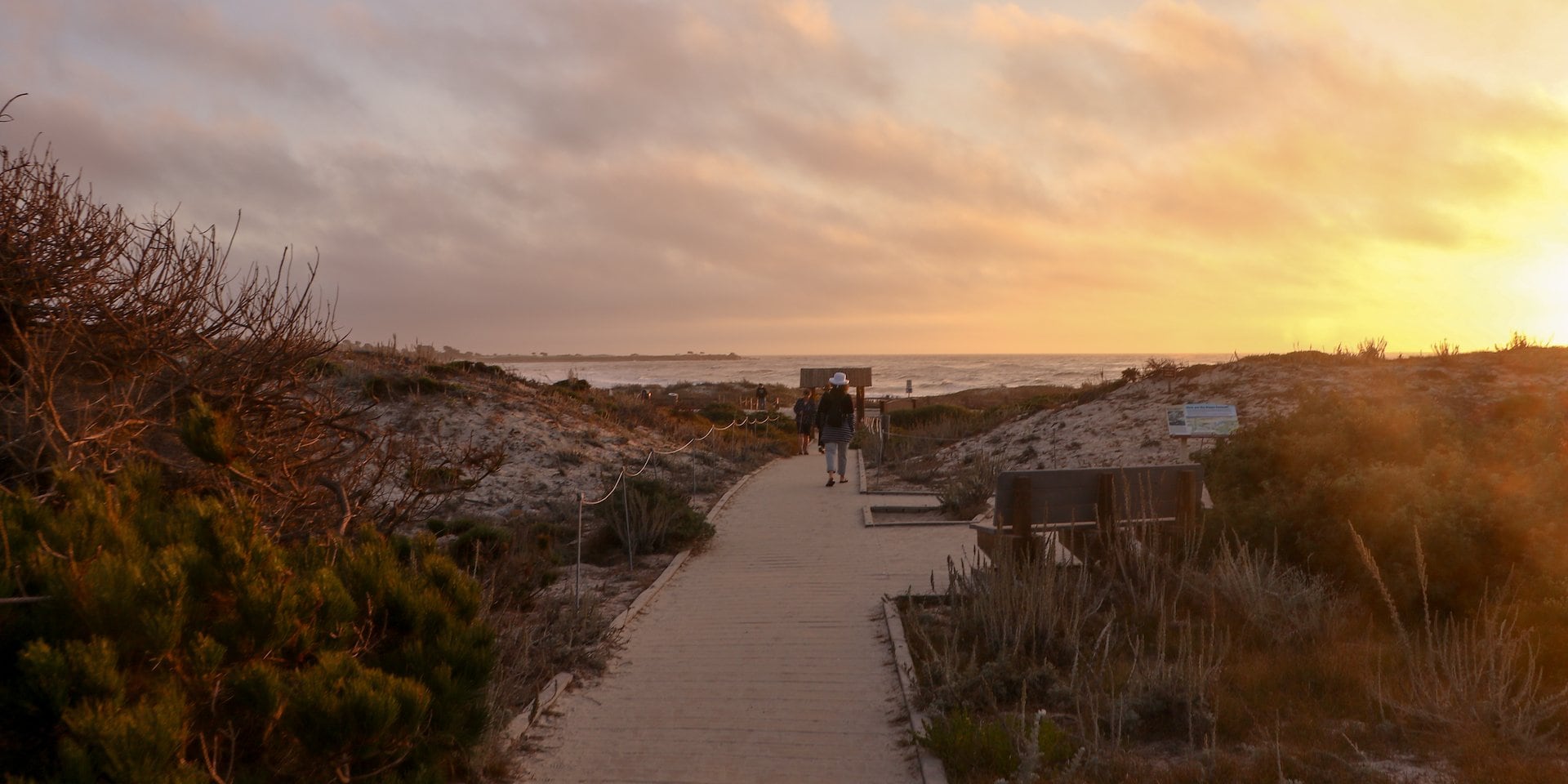 Pathway leading to a beach at sunset Asilomar Hotel and Conference Grounds - Pacific Grove California