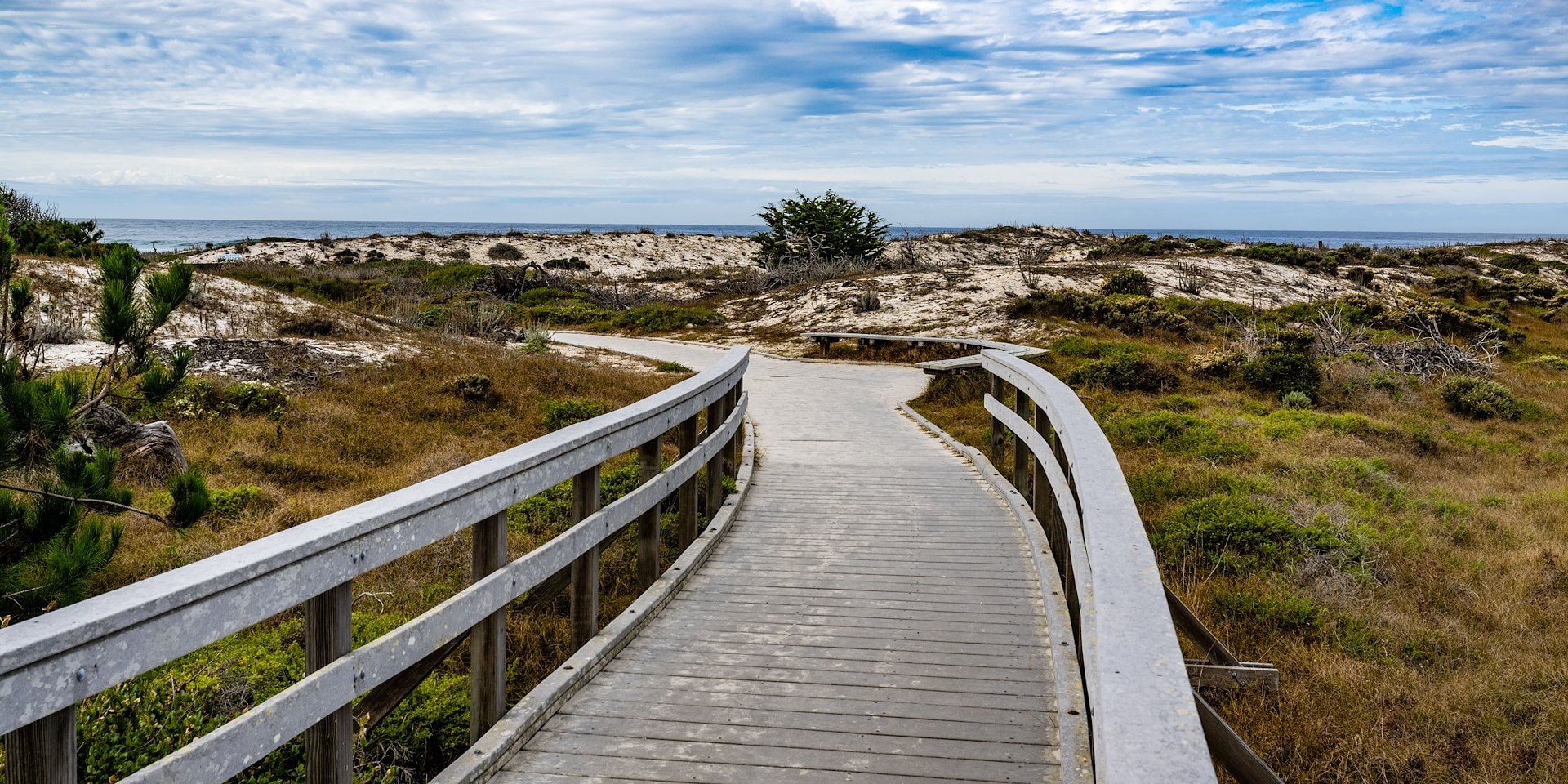 State Park Ranger Guided Tours of Asilomar Hotel and Conference Grounds - Pacific Grove California