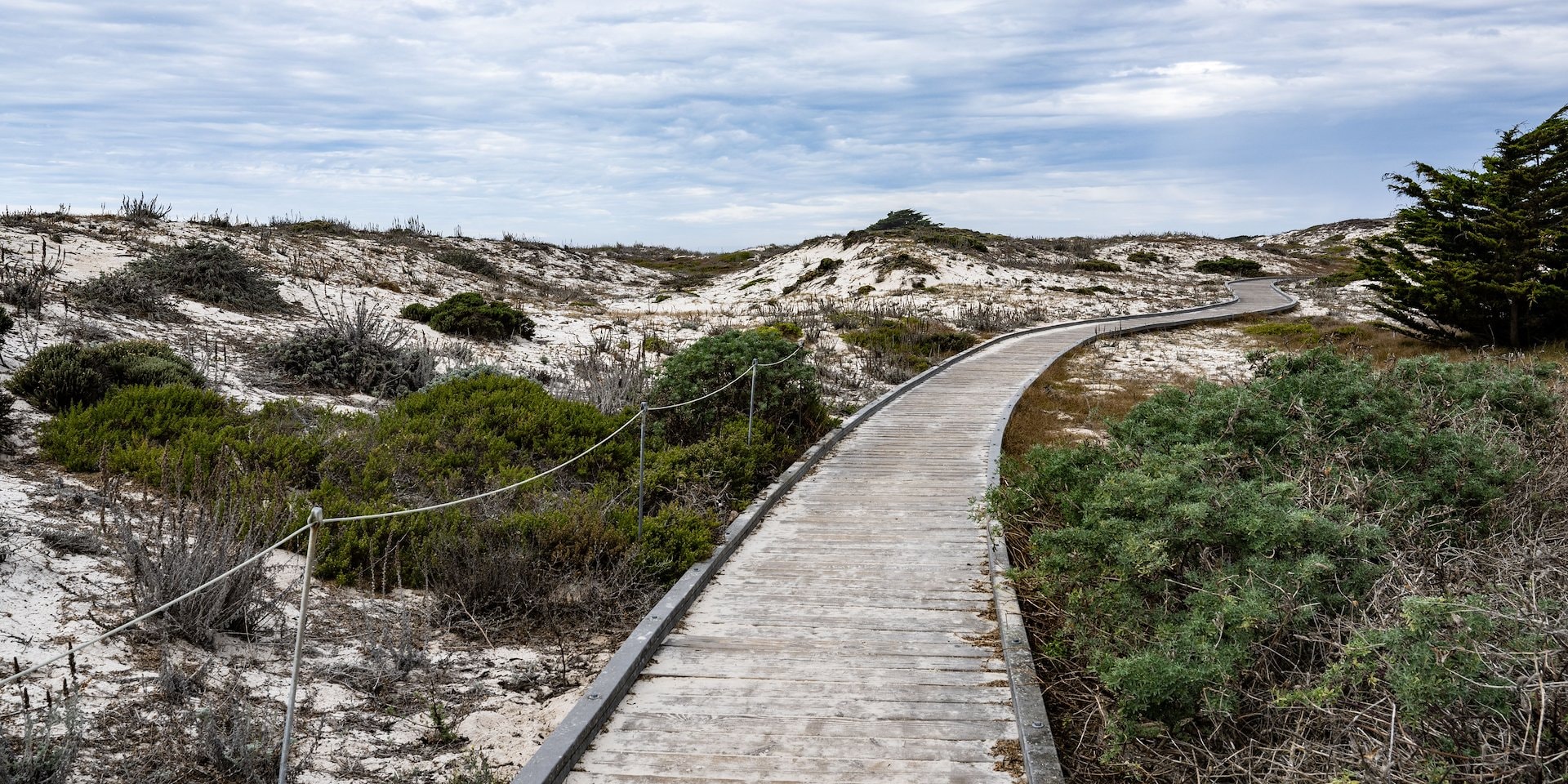 Wooden boardwalk winds through sandy dunes covered in sparse greenery Asilomar Hotel and Conference Grounds - Pacific Grove California