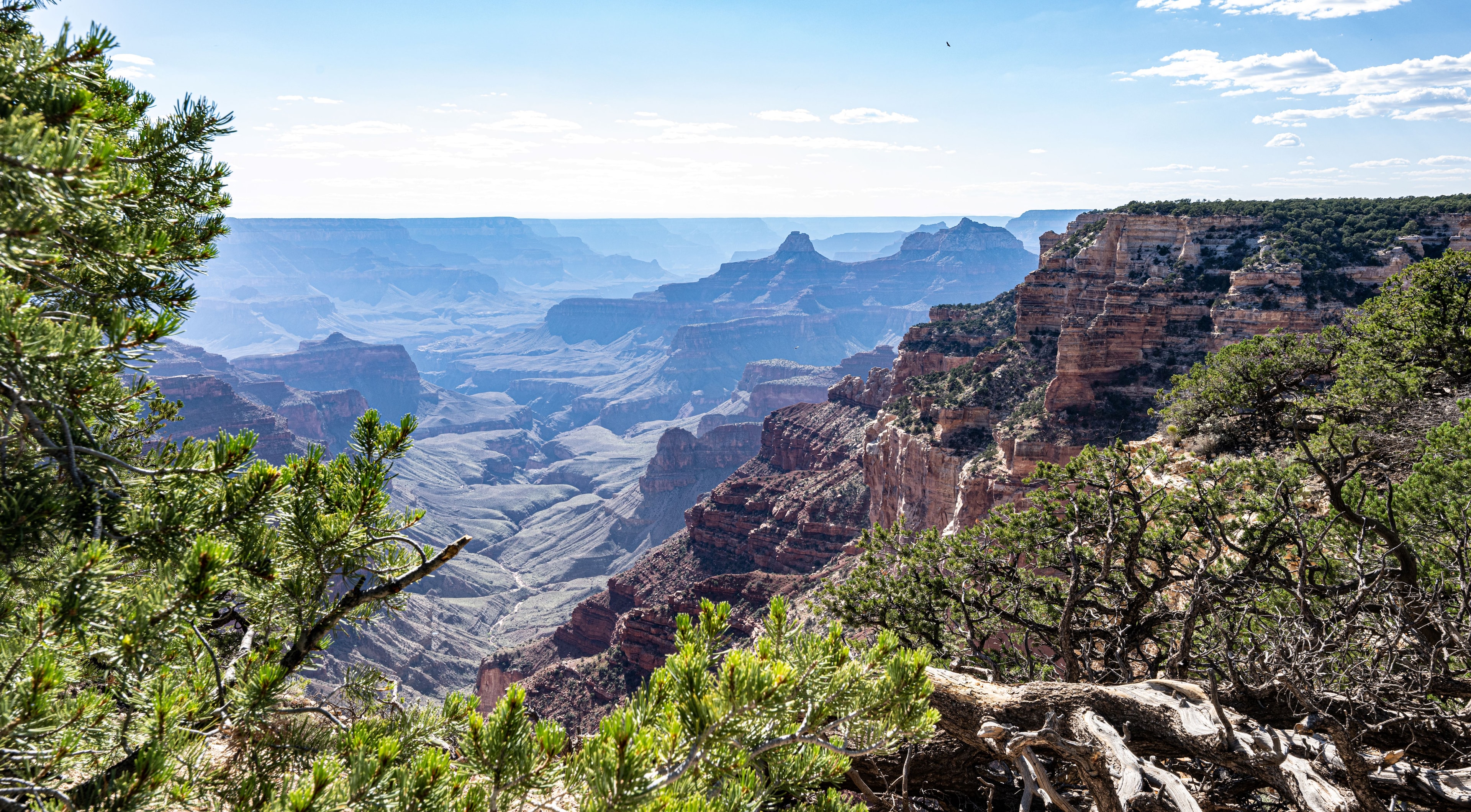 North Rim Grand Canyon Overnight Hikes Guided Park Tour
