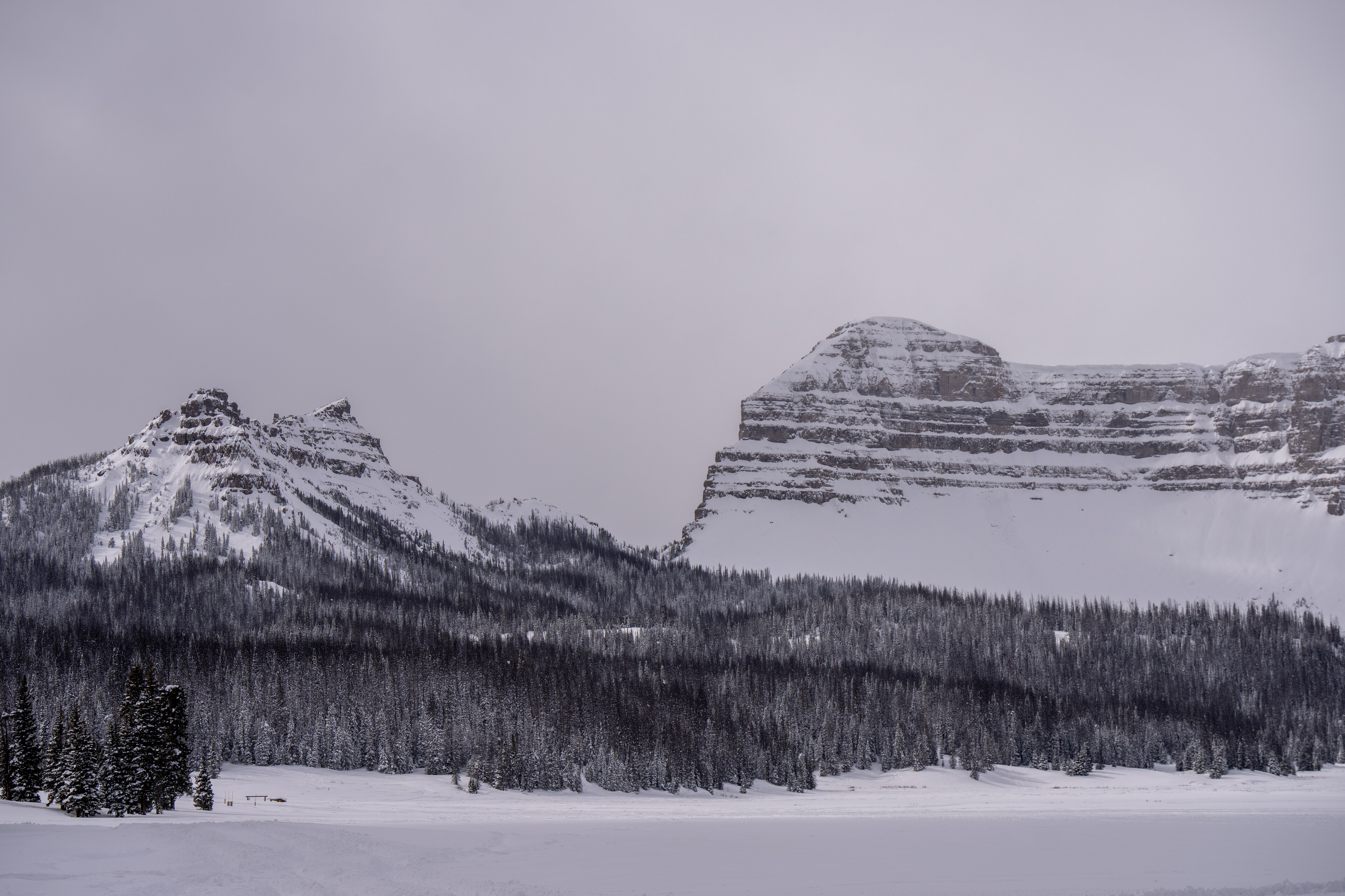 Togwotee Webcam | Togwotee Mountain Lodge