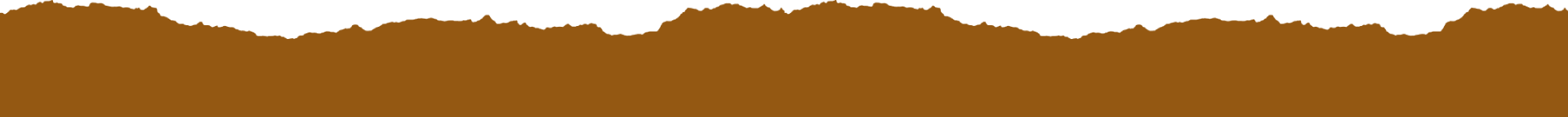 Weather in olympic national park in july