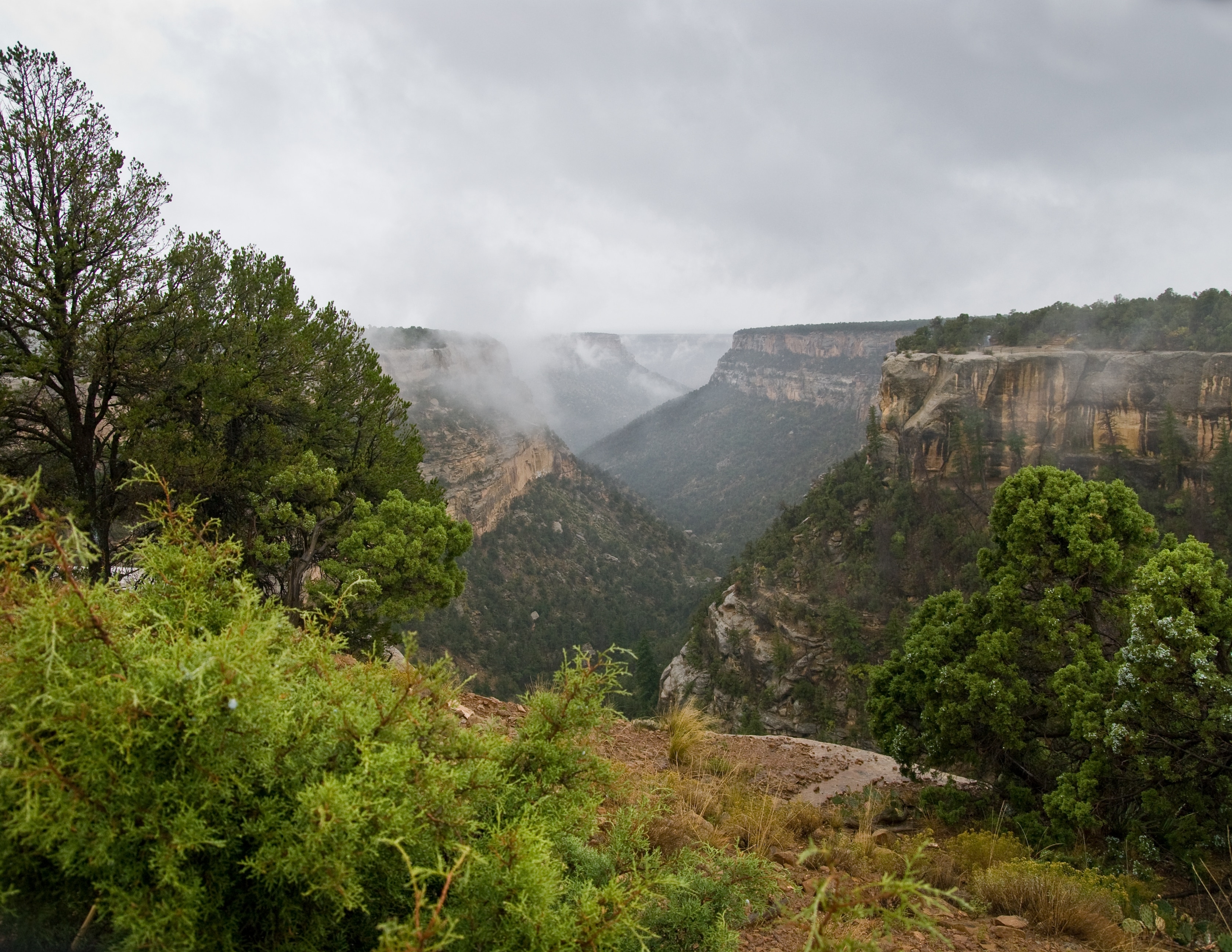 Mesa Verde Travel Guide: Ultimate Tips for an Unforgettable Visit