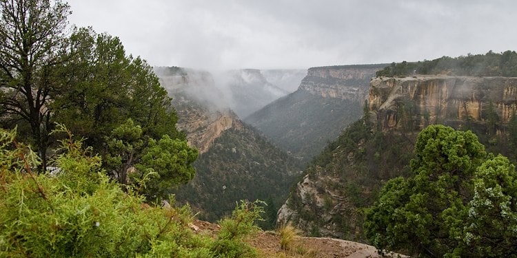 Mesa Verde Travel Guide: Ultimate Tips for an Unforgettable Visit