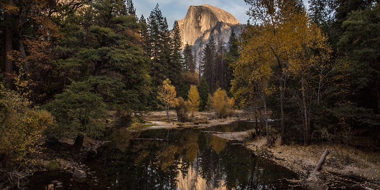 A river with trees and mountains in the background