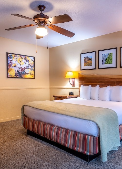 Plan Your Yosemite Adventure | Lodging, Tours & Activities