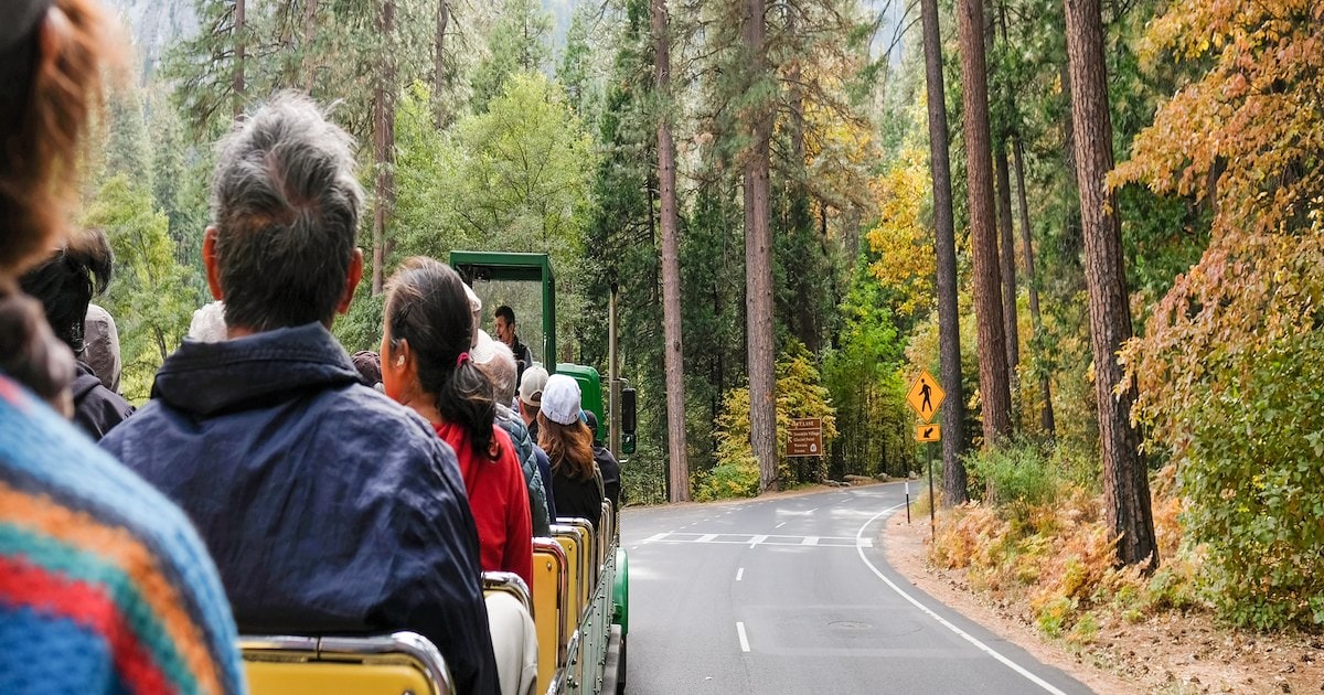 Guided Yosemite Tour