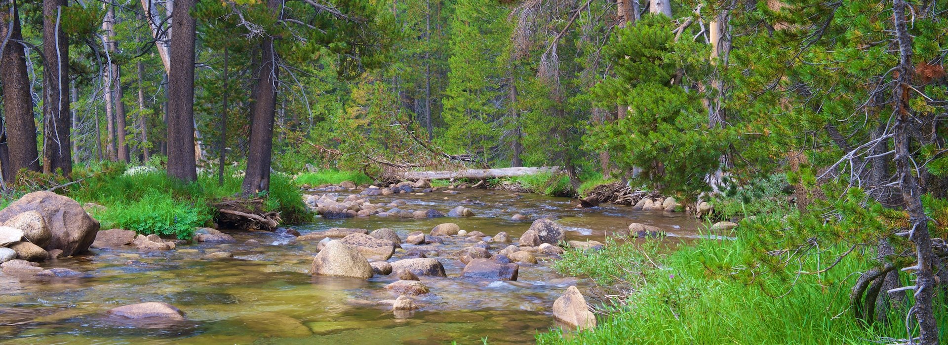 Yosemite National Park Lodging and Activities California United States - Happy Mens paddling together in a boat