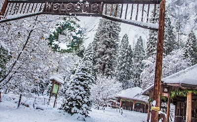 Yosemite Valley Lodge Deals Yosemite National Park