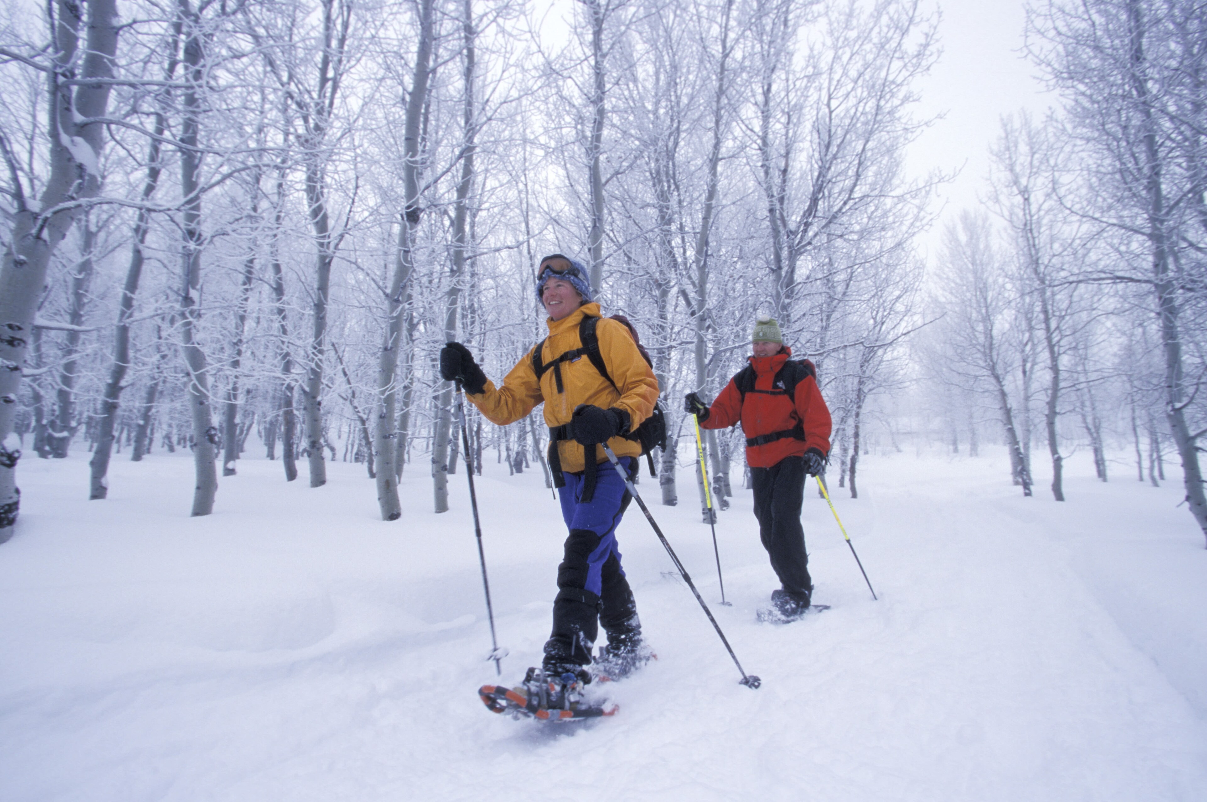 Cross Country Best Snowshoe Trails The Best Hikes Walks On Around