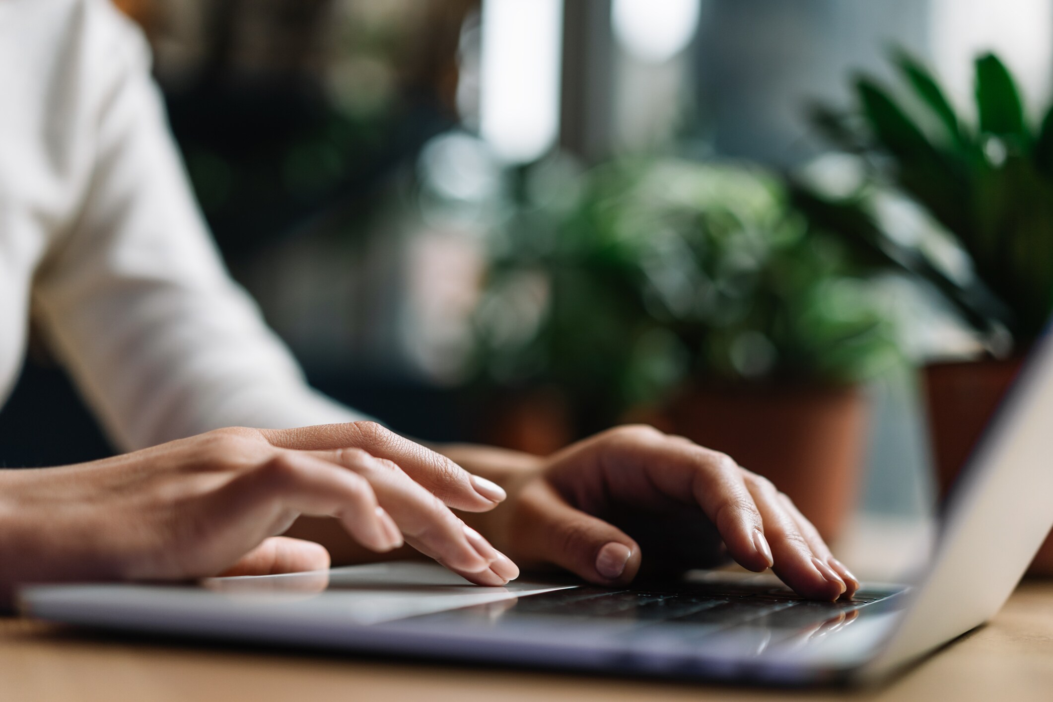 Person Using Laptop, Virginia Beach, Virginia
