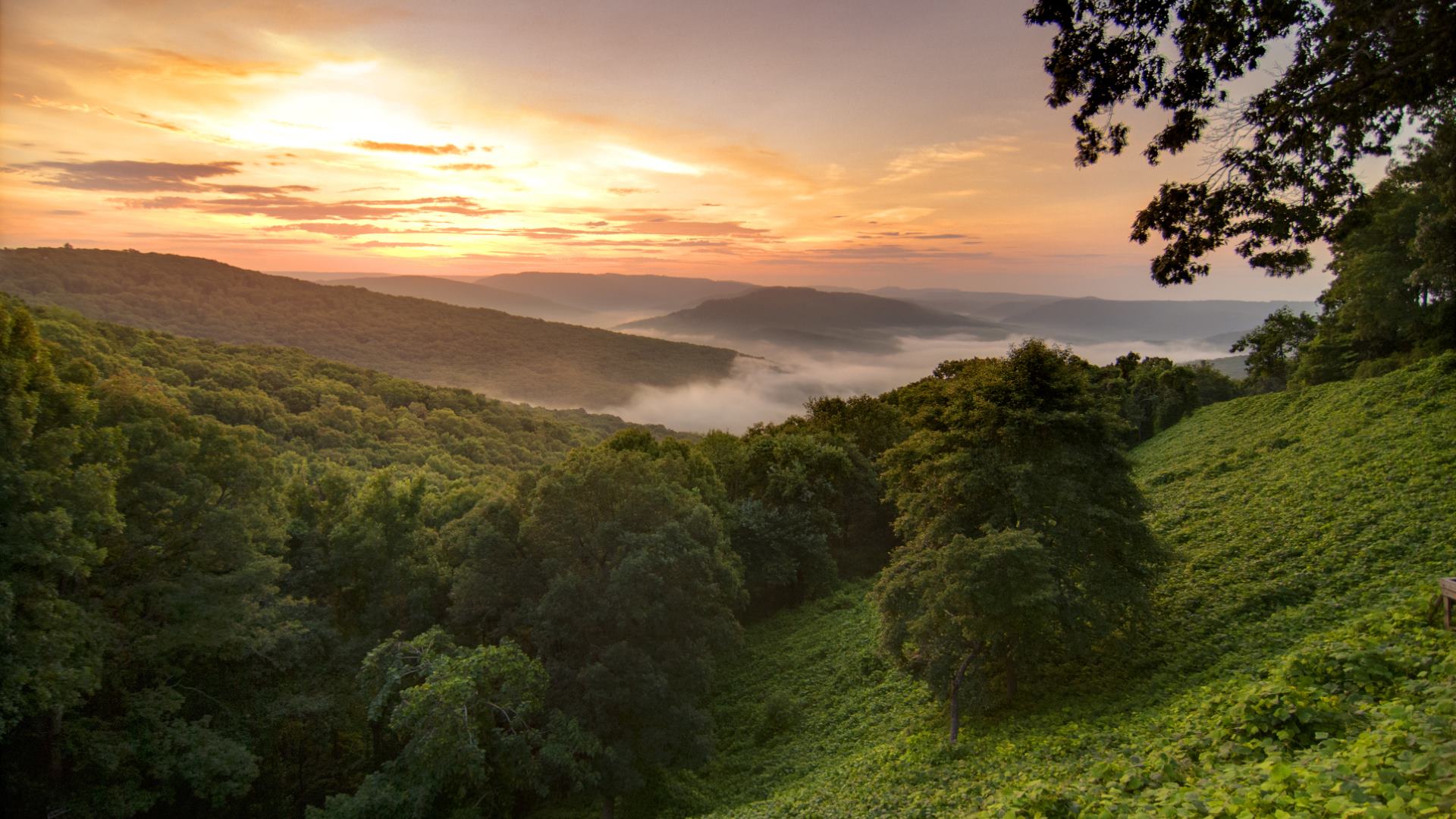 Ozark shop mountains hiking