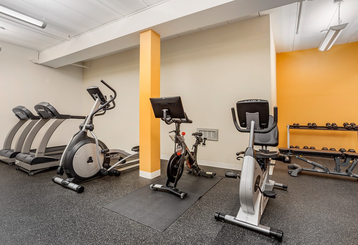 Gym Bikes