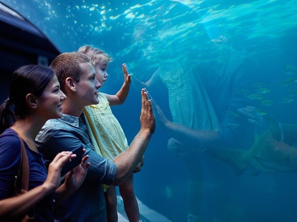 Seaside Aquarium in Seaside, OR