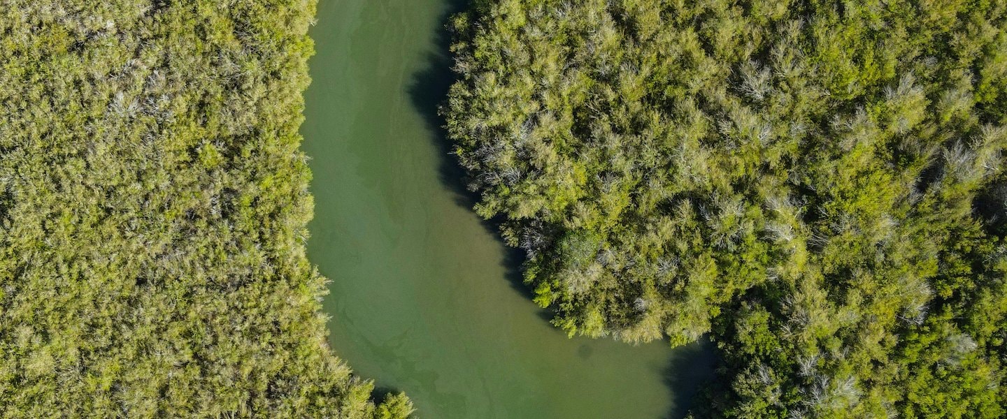 Alianza con WWF bh Hoteles 