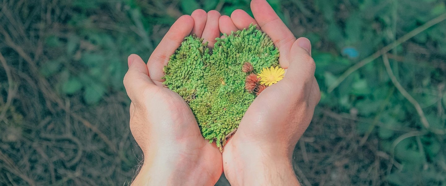 Sostenibilidad compromiso que EK Hotel tiene