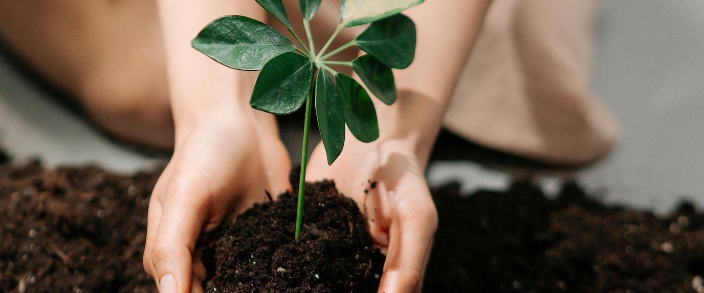 Prácticas sustentables en bh La Quinta 