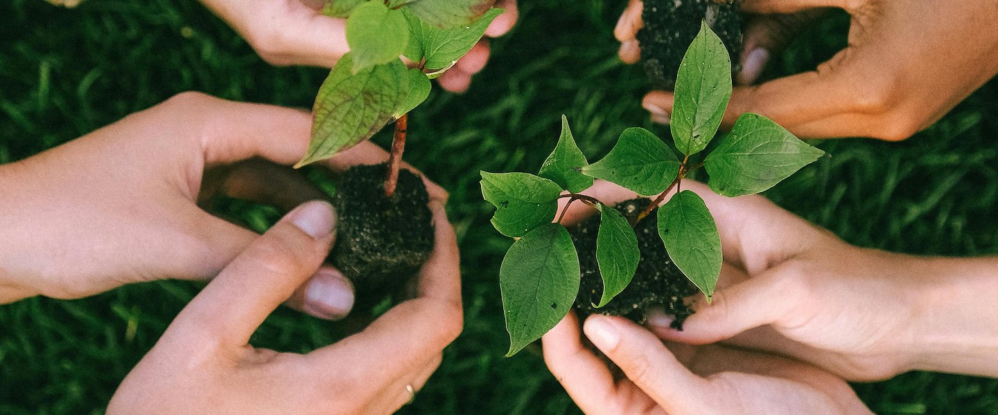 Sostenibilidad compromiso que bh Usaquen tiene