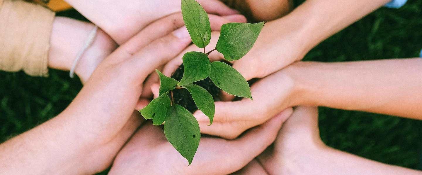 Sostenibilidad compromiso que be La Sierra tiene