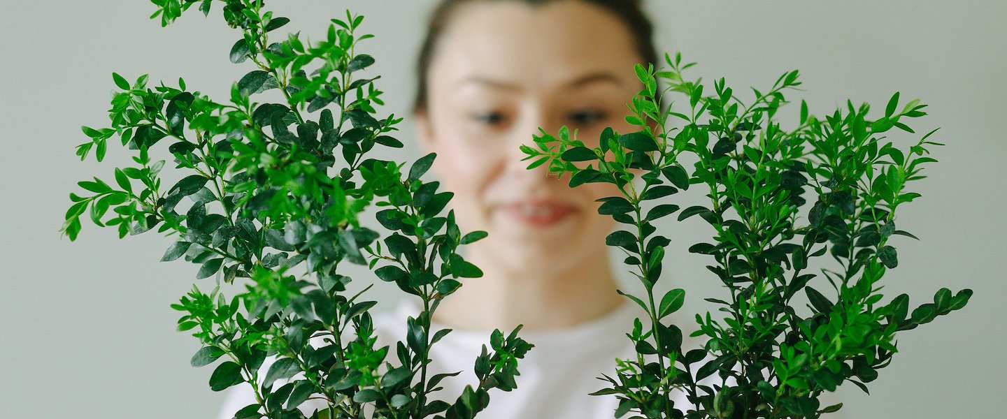 Prácticas sustentables en bh Parque 93