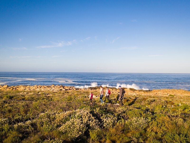 Family Friendly Activities at Monterey, California