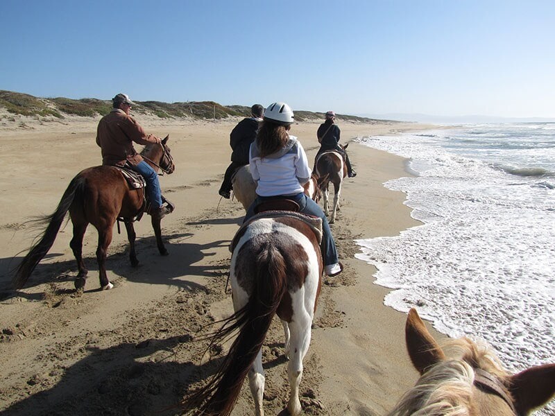 HORSEBACK RIDING