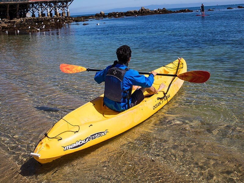 MONTEREY BAY KAYAKING