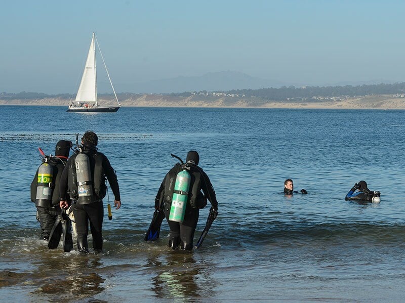 Deep Sea Diving and Fishing