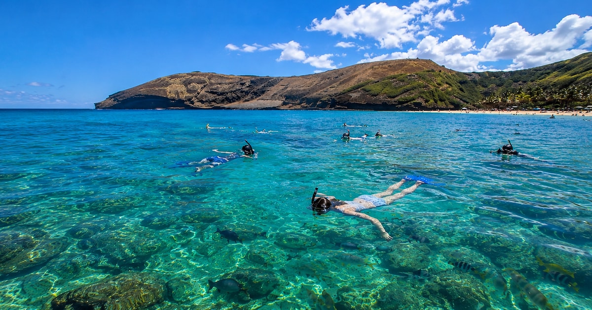 Screenshot or Official Image for robertshawaii.com - Roberts Hawaii | Explore Hawaii Tours, Activities & Island Adventures