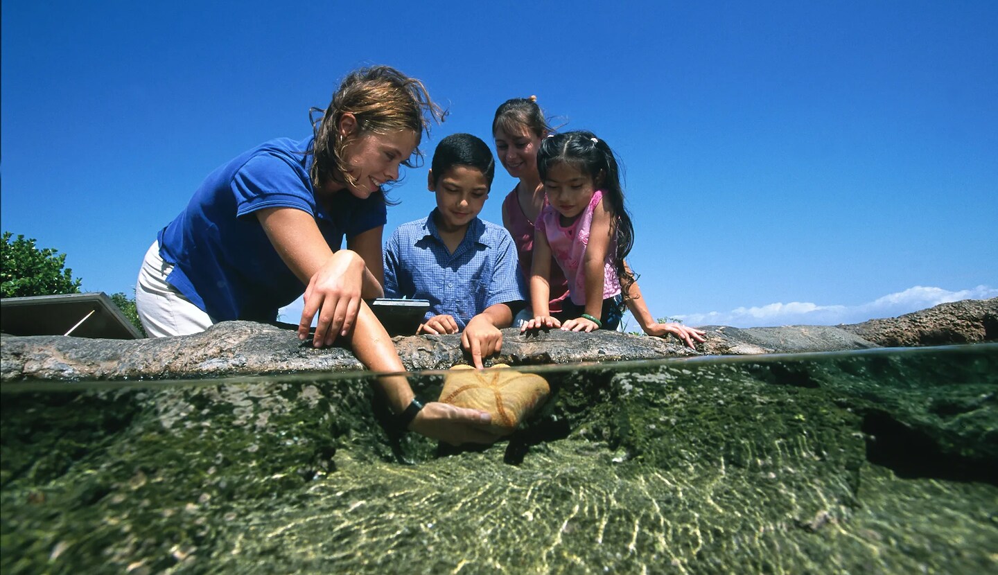 Maui Ocean Center at Maui Tours by Roberts Hawaii, Honolulu, HI, USA