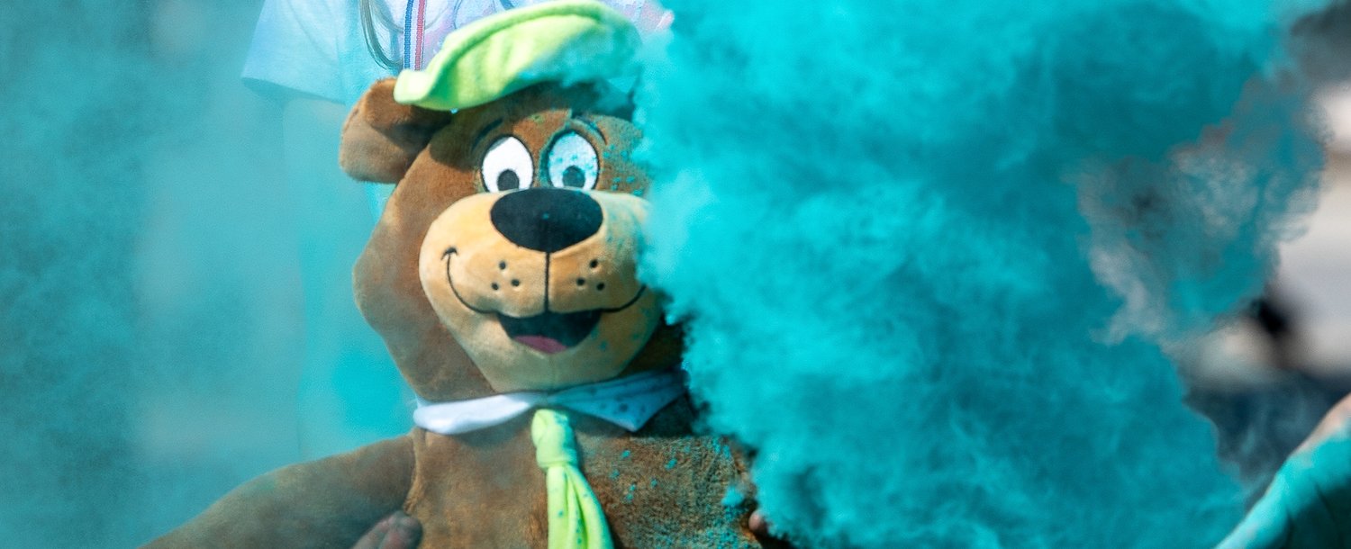 Color the Park at Jellystone Park™ Natural Bridge