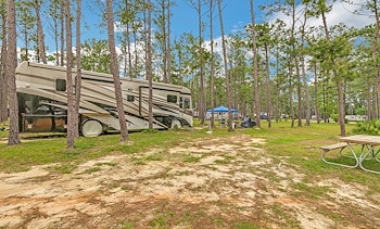 RV Sites at Jellystone Park™ Alabama Golf Coast