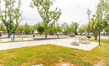 RV Sites at Jellystone Park™ Tower Park