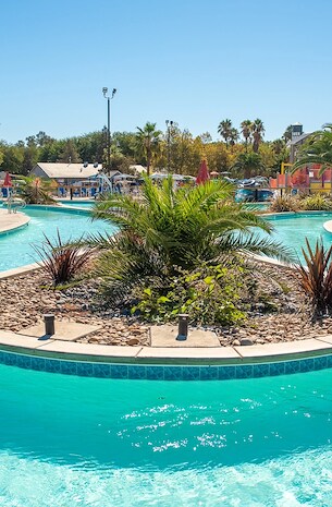 Swim, splash, and play!