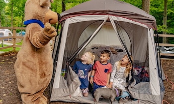 Tent Sites at Jellystone Park™ Warrens