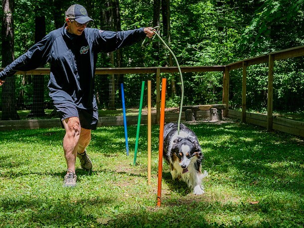 Dog Park at Jellystone Park™ Columbus North