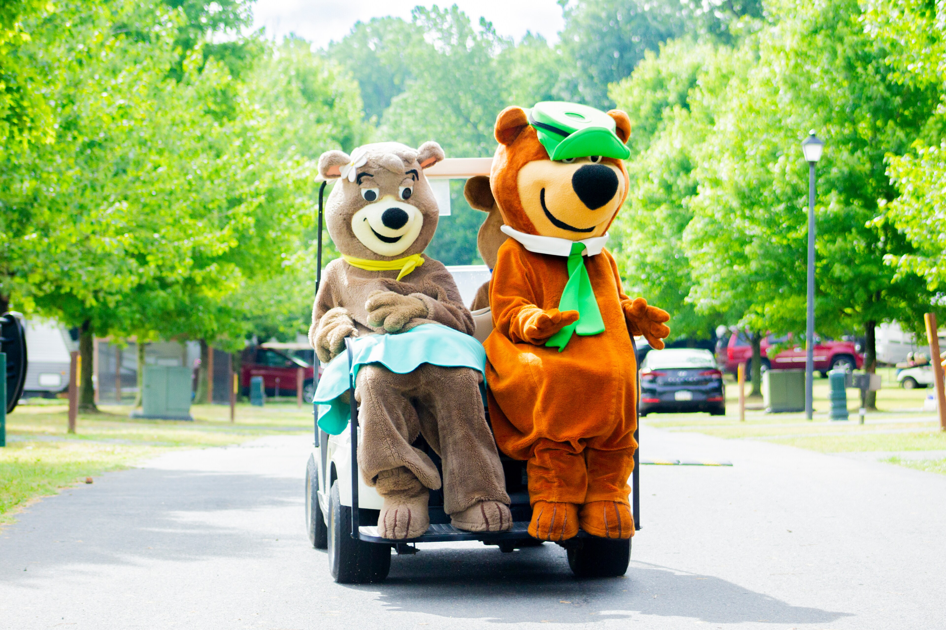 Club Yogi™ Rewards Banner